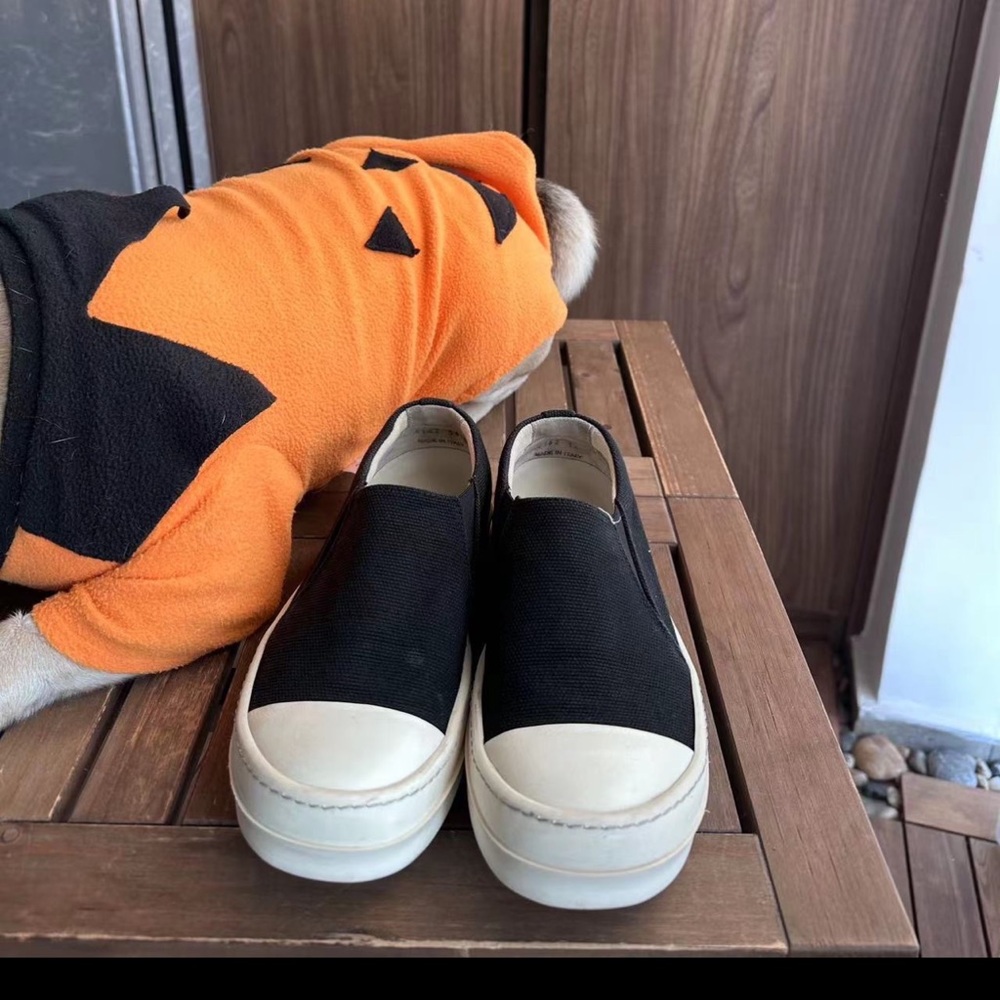 COPY - Rick Owens drkshdw ramones low size 36 Italy wn 5